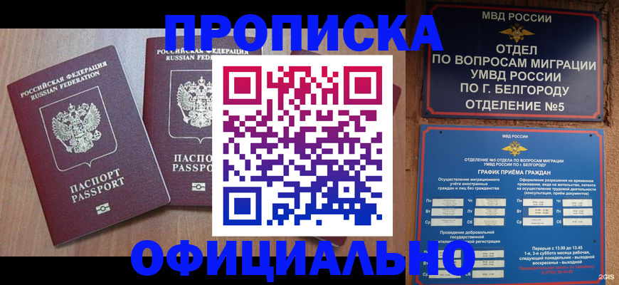 найти адрес прописки в Курской области